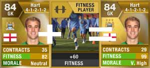 FIFA 13 Ultimate Team - Consumables - Development Cards