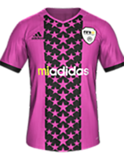 pink jerseys fifa 19