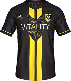 Vitality E-Sport Kit